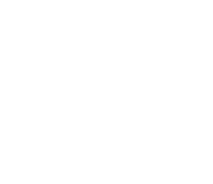 denza-transp
